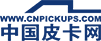 皮卡网